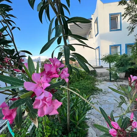 Semesterbostad Casa D'eros - Yalikavak Marina Bodrum